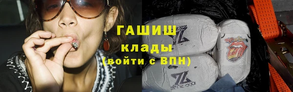 гидра Каменногорск
