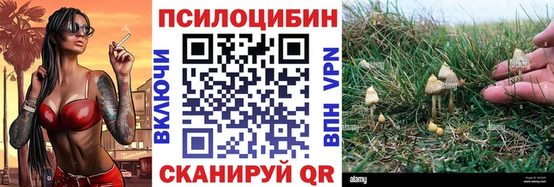 где найти наркотики  Карабаново  Псилоцибиновые грибы мухоморы 